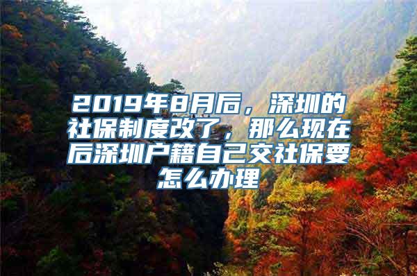 2019年8月后，深圳的社保制度改了，那么现在后深圳户籍自己交社保要怎么办理