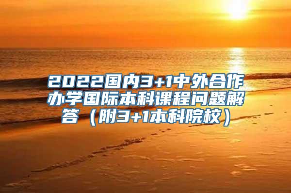 2022国内3+1中外合作办学国际本科课程问题解答（附3+1本科院校）