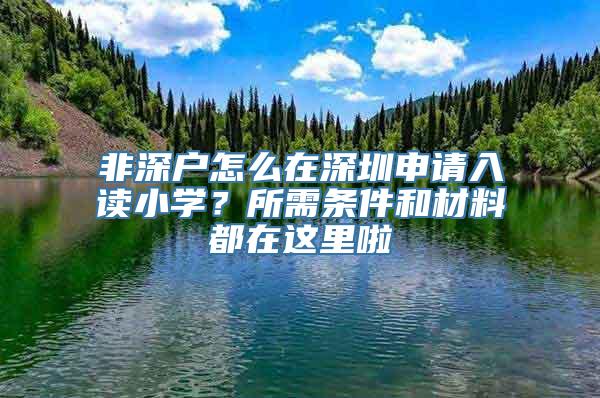 非深户怎么在深圳申请入读小学？所需条件和材料都在这里啦