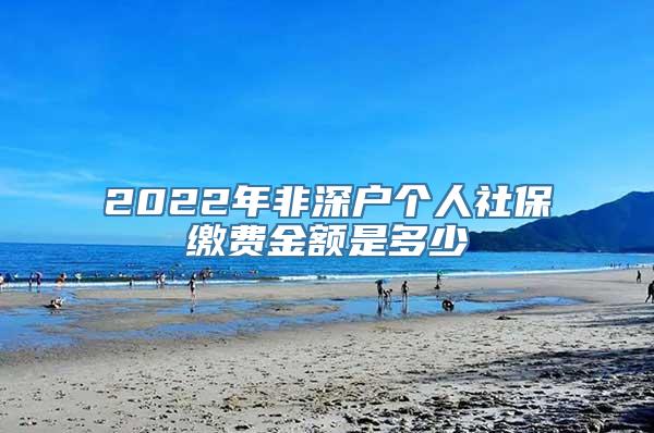 2022年非深户个人社保缴费金额是多少