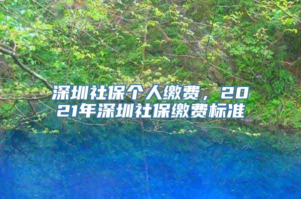 深圳社保个人缴费，2021年深圳社保缴费标准