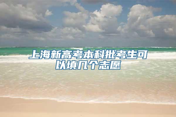 上海新高考本科批考生可以填几个志愿