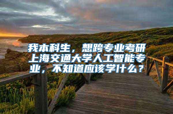 我本科生，想跨专业考研上海交通大学人工智能专业，不知道应该学什么？