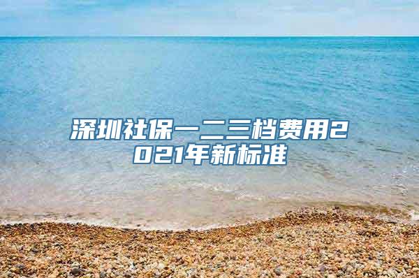 深圳社保一二三档费用2021年新标准