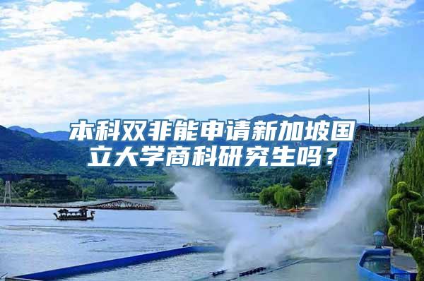 本科双非能申请新加坡国立大学商科研究生吗？