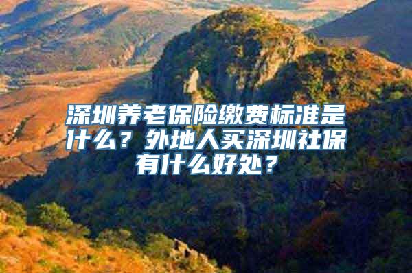 深圳养老保险缴费标准是什么？外地人买深圳社保有什么好处？