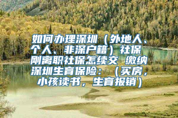 如何办理深圳（外地人、个人、非深户籍）社保 刚离职社保怎续交 缴纳深圳生育保险：（买房，小孩读书，生育报销）