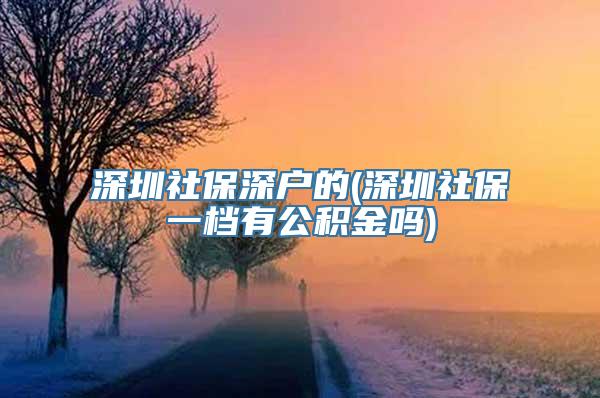 深圳社保深户的(深圳社保一档有公积金吗)