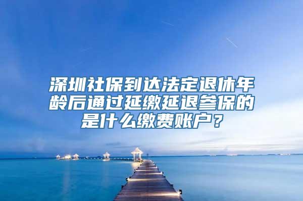 深圳社保到达法定退休年龄后通过延缴延退参保的是什么缴费账户？