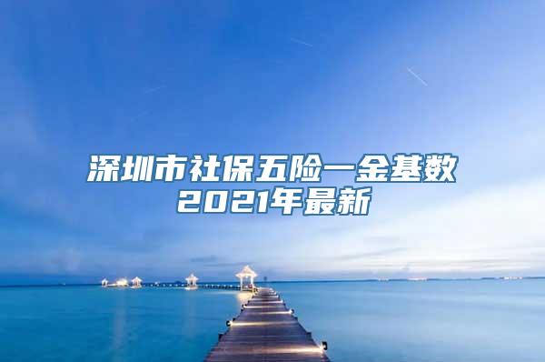 深圳市社保五险一金基数2021年最新