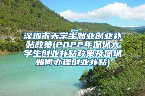 深圳市大学生就业创业补贴政策(2022年深圳大学生创业补贴政策及深圳如何办理创业补贴)