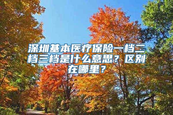 深圳基本医疗保险一档二档三档是什么意思？区别在哪里？