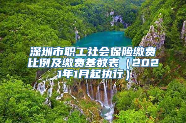 深圳市职工社会保险缴费比例及缴费基数表（2021年1月起执行）