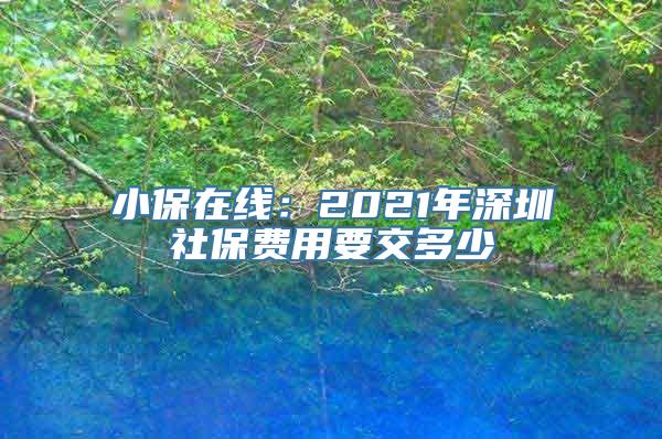 小保在线：2021年深圳社保费用要交多少