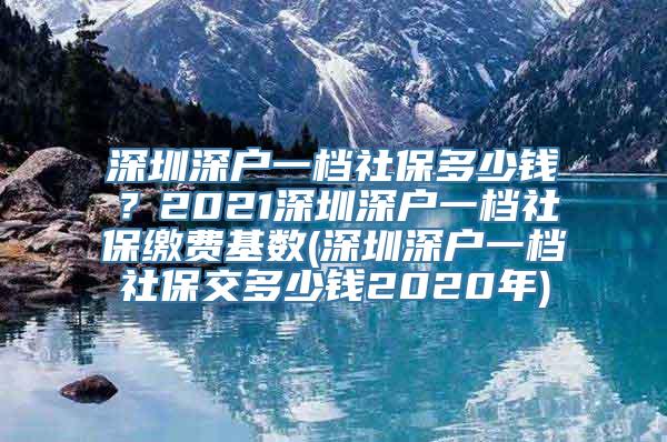 深圳深户一档社保多少钱？2021深圳深户一档社保缴费基数(深圳深户一档社保交多少钱2020年)