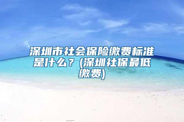 深圳市社会保险缴费标准是什么？(深圳社保最低缴费)