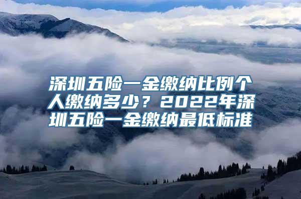 深圳五险一金缴纳比例个人缴纳多少？2022年深圳五险一金缴纳最低标准