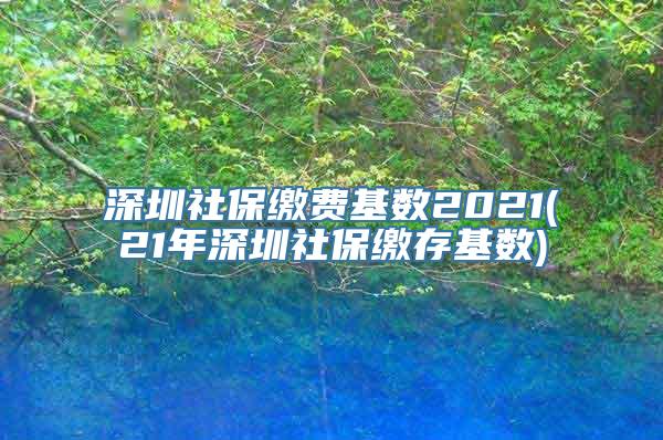 深圳社保缴费基数2021(21年深圳社保缴存基数)