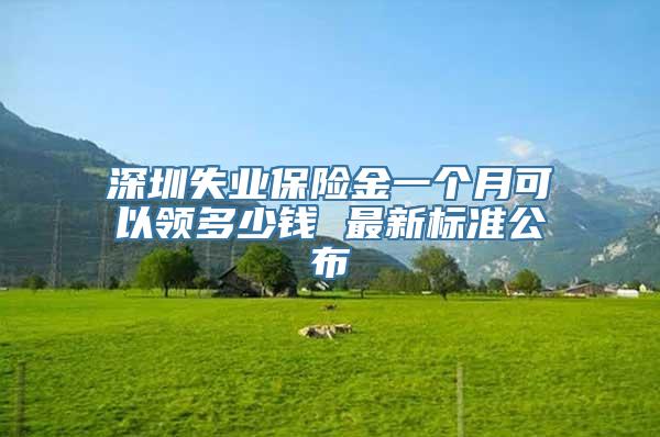 深圳失业保险金一个月可以领多少钱 最新标准公布