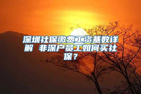 深圳社保缴费工资基数详解 非深户员工如何买社保？