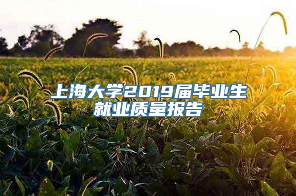 上海大学2019届毕业生就业质量报告