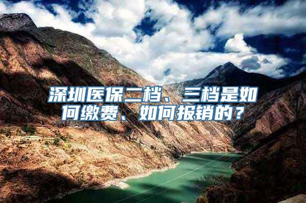 深圳医保二档、三档是如何缴费、如何报销的？