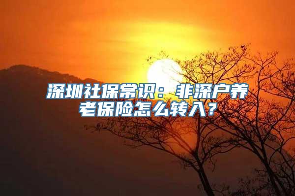 深圳社保常识：非深户养老保险怎么转入？