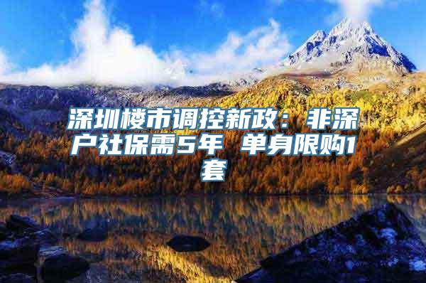 深圳楼市调控新政：非深户社保需5年 单身限购1套