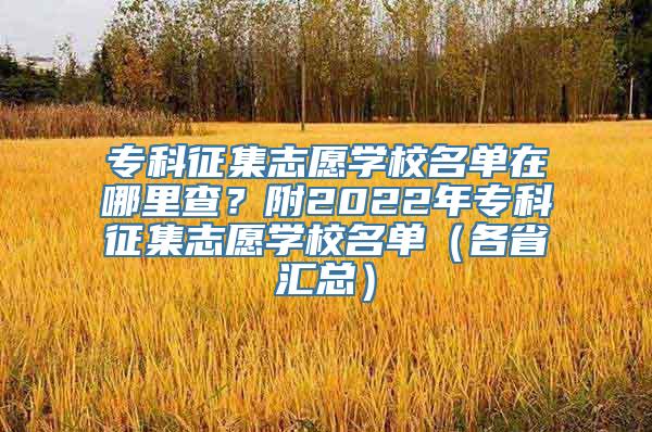 专科征集志愿学校名单在哪里查？附2022年专科征集志愿学校名单（各省汇总）