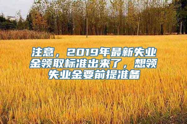 注意，2019年最新失业金领取标准出来了，想领失业金要前提准备