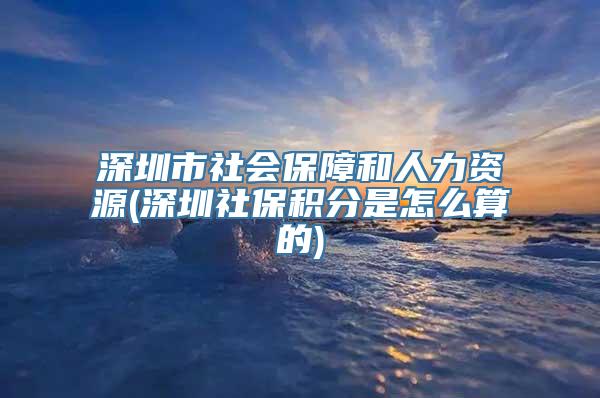 深圳市社会保障和人力资源(深圳社保积分是怎么算的)