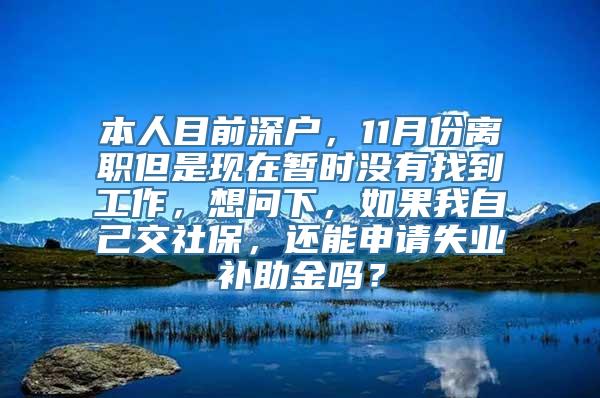 本人目前深户，11月份离职但是现在暂时没有找到工作，想问下，如果我自己交社保，还能申请失业补助金吗？