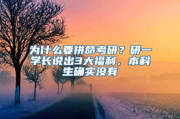 为什么要拼命考研？研一学长说出3大福利，本科生确实没有