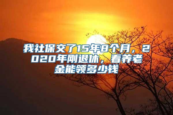 我社保交了15年8个月，2020年刚退休，看养老金能领多少钱