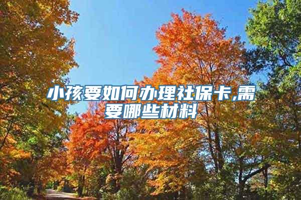 小孩要如何办理社保卡,需要哪些材料