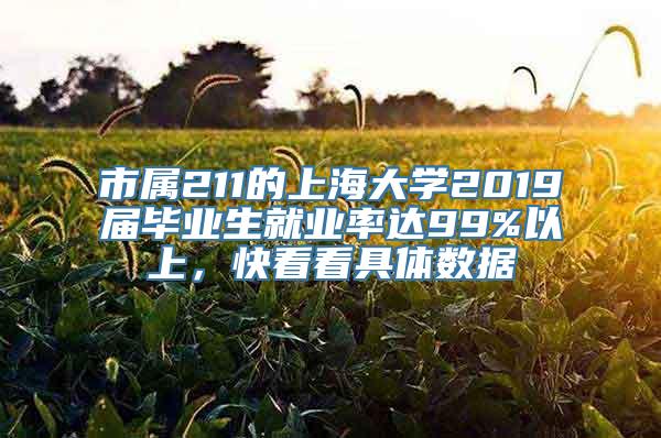 市属211的上海大学2019届毕业生就业率达99%以上，快看看具体数据