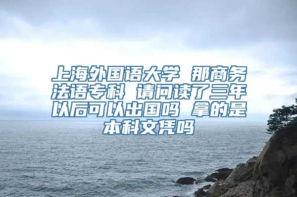 上海外国语大学 那商务法语专科 请问读了三年以后可以出国吗 拿的是本科文凭吗