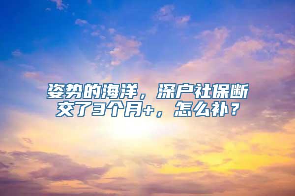 姿势的海洋，深户社保断交了3个月+，怎么补？