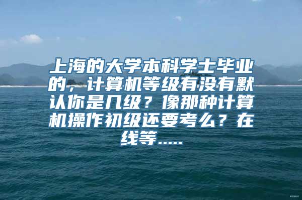 上海的大学本科学士毕业的，计算机等级有没有默认你是几级？像那种计算机操作初级还要考么？在线等.....