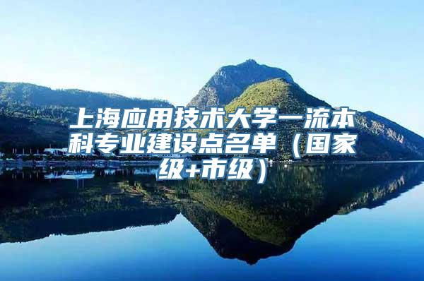 上海应用技术大学一流本科专业建设点名单（国家级+市级）