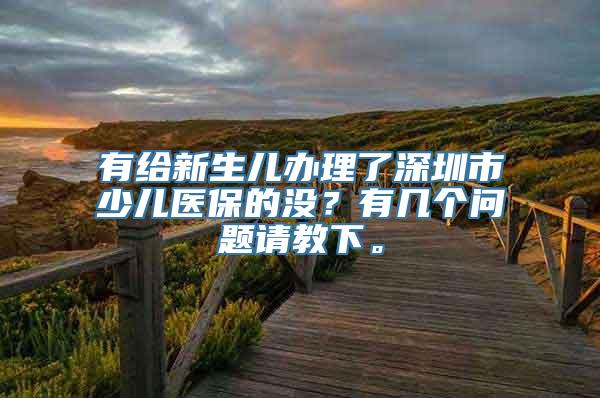 有给新生儿办理了深圳市少儿医保的没？有几个问题请教下。