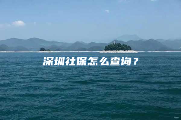 深圳社保怎么查询？