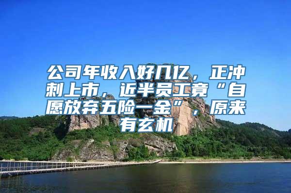 公司年收入好几亿，正冲刺上市，近半员工竟“自愿放弃五险一金”，原来有玄机