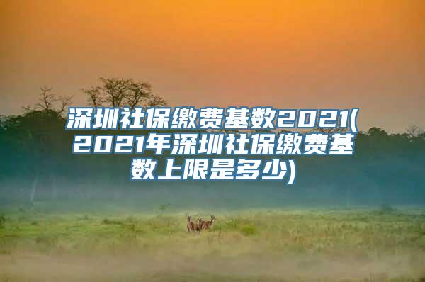 深圳社保缴费基数2021(2021年深圳社保缴费基数上限是多少)