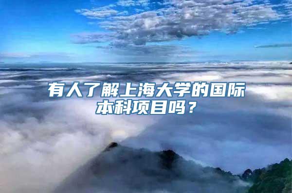 有人了解上海大学的国际本科项目吗？