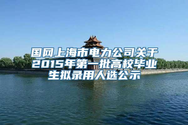 国网上海市电力公司关于2015年第一批高校毕业生拟录用人选公示