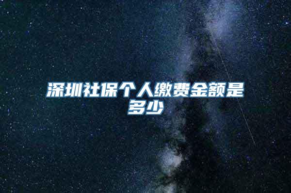 深圳社保个人缴费金额是多少