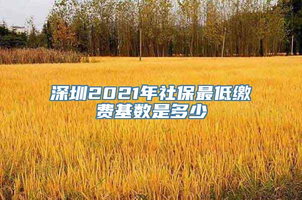 深圳2021年社保最低缴费基数是多少