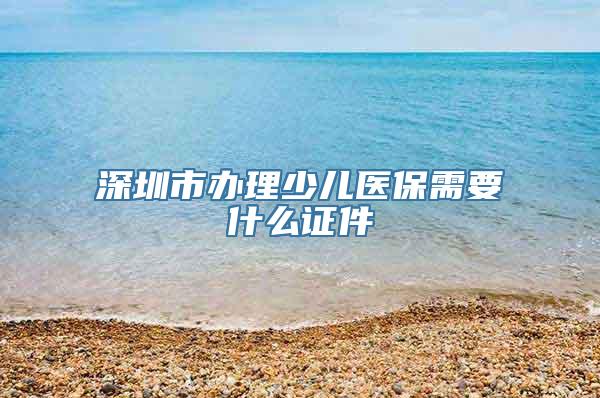 深圳市办理少儿医保需要什么证件