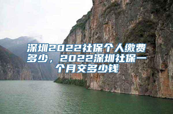 深圳2022社保个人缴费多少，2022深圳社保一个月交多少钱